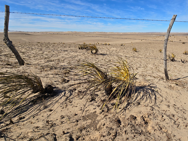 2026 Nebraska Sandhills Region fire aftermath