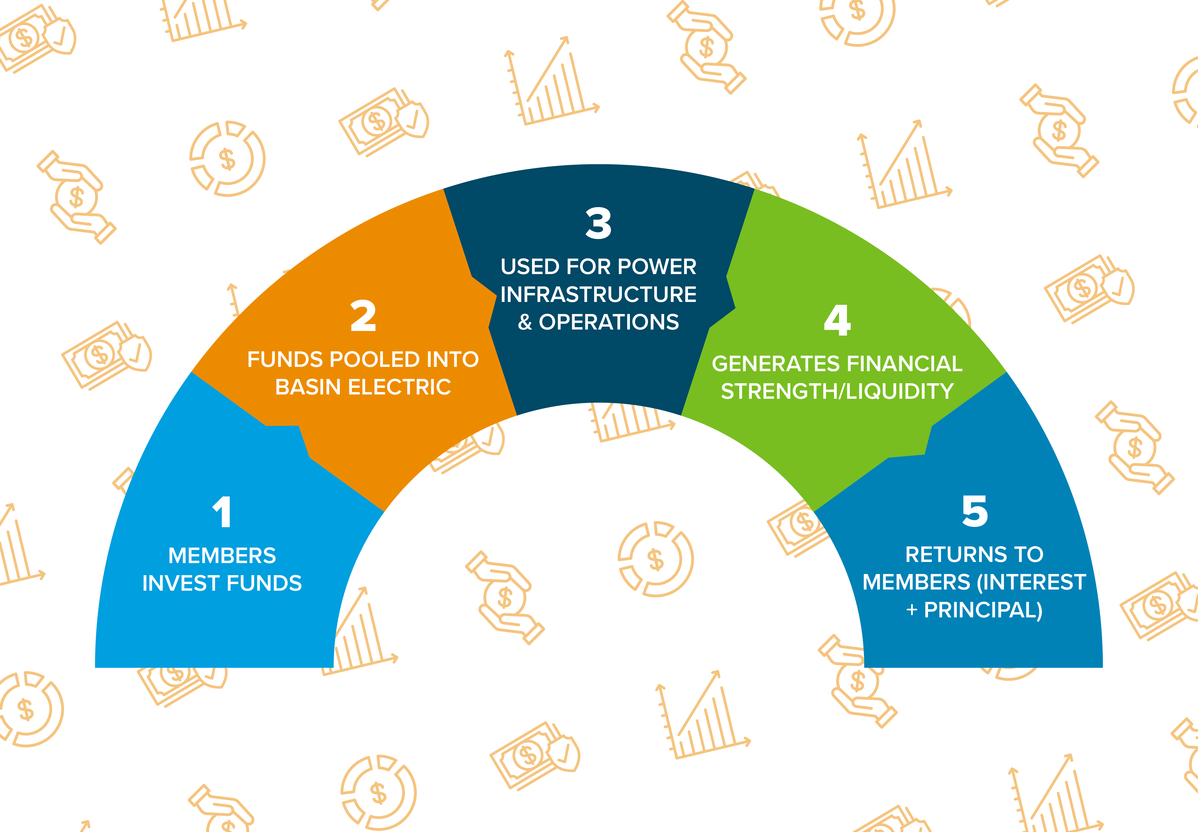Graph showing the member investment program