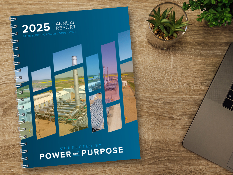 2025 Annual Report cover